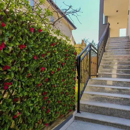& Arch Apartment